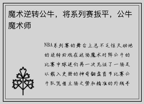 魔术逆转公牛，将系列赛扳平，公牛魔术师